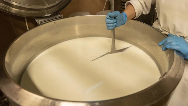 
                    Menino morre após 9 anos em estado vegetativo por queijo contaminado
                