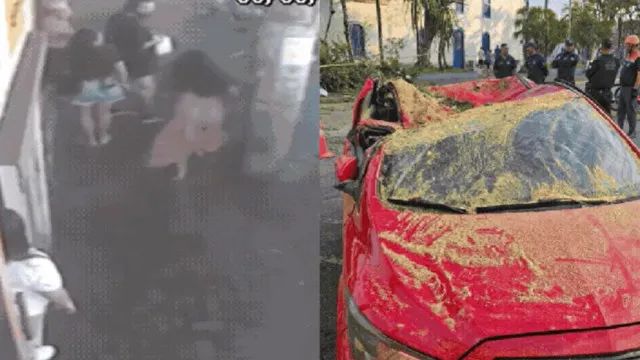 
                    Mulher se desespera ao ver família atingida por árvore
                