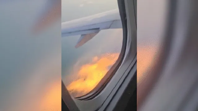 
                    Motor de avião pega fogo no ar após choque com pássaro; vídeo
                