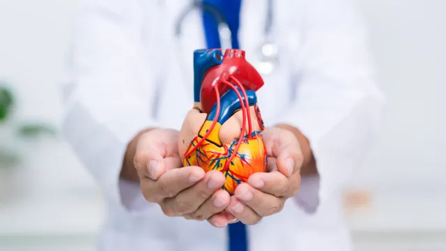 
                    Cardiologistas destacam alimento que pode ajudar a proteger o coração
                