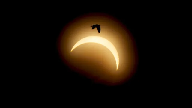 
                    Eclipse total transforma o dia em noite na Europa; veja fotos do fenômeno
                