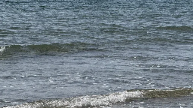 
                    Aeronave faz pouso de emergência em plena praia na Florida
                