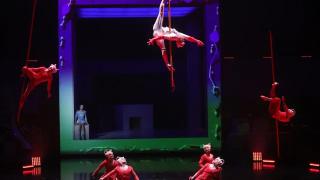 
                    Acrobata processa Cirque du Soleil em US$ 16 milhões após queda em espetáculo
                