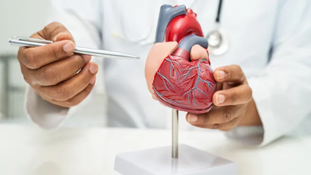 
                    Tem um coração saudável? Cardiologista propõe 7 desafios para descobrir
                