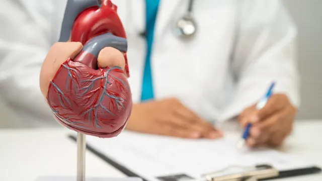 
                    Uma bebida para relaxar? Entenda o que acontece com o seu coração
                