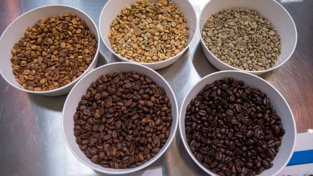 
                    Brasil deve colher recorde de 67,6 milhões de sacas de café em 2026
                