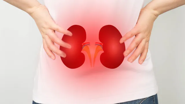 
                    Este pode ser um dos primeiros sinais de doença nos rins; fique atento
                
