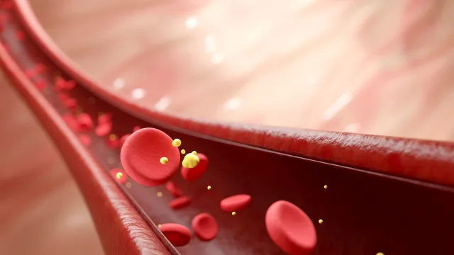 
                    5 alimentos que ajudam a eliminar o colesterol (mau) do seu corpo
                