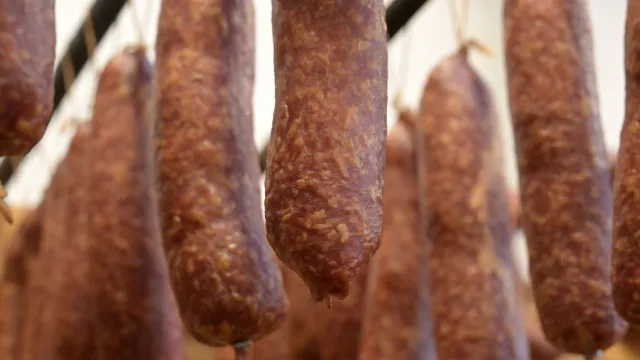 
                    Qual linguiça foi proibida pela Anvisa por conter bactéria perigosa?
                