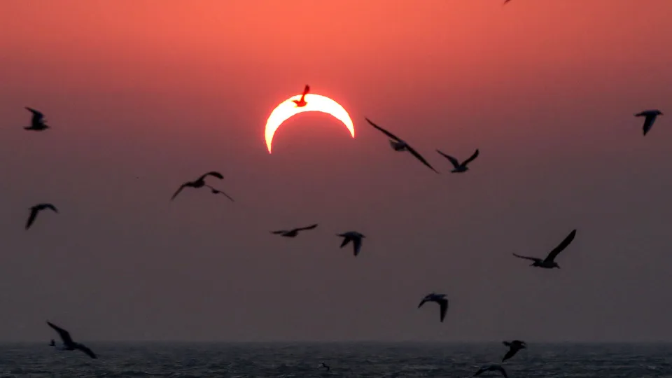 Coisas estranhas que ocorrem durante um Eclipse Solar