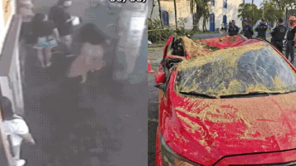 Mulher se desespera ao ver família atingida por árvore