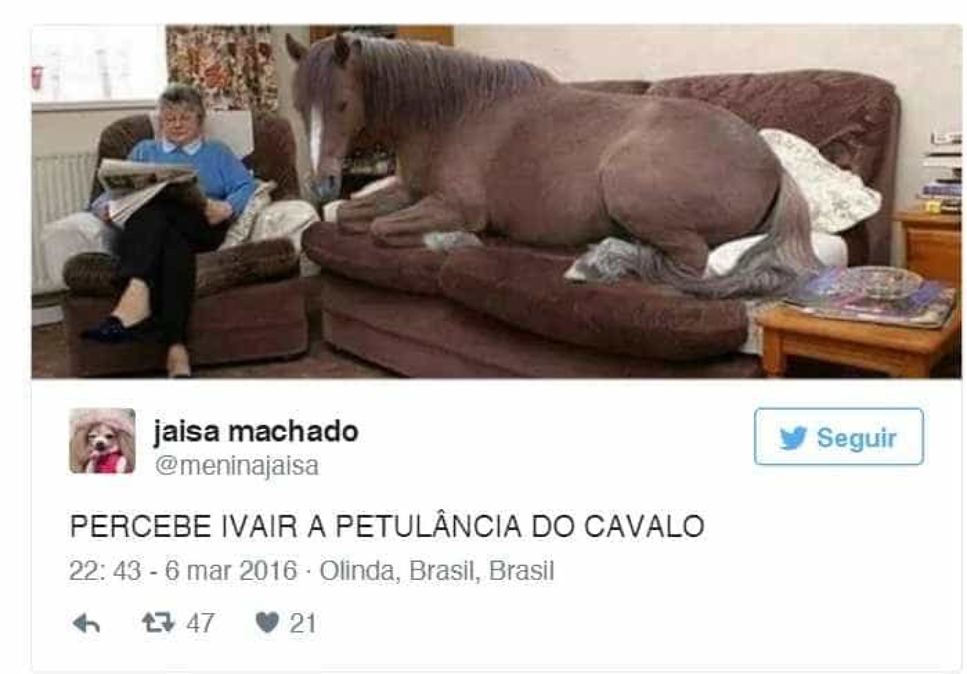 Saiba a história do meme 'Percebe, Ivair, a petulância do cavalo'