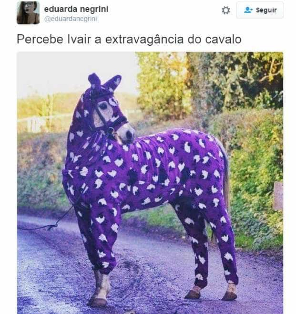 Saiba a história do meme 'Percebe, Ivair, a petulância do cavalo'