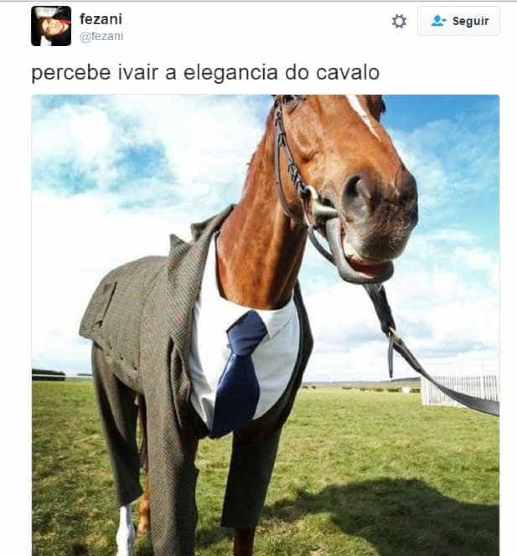 Saiba a história do meme 'Percebe, Ivair, a petulância do cavalo'