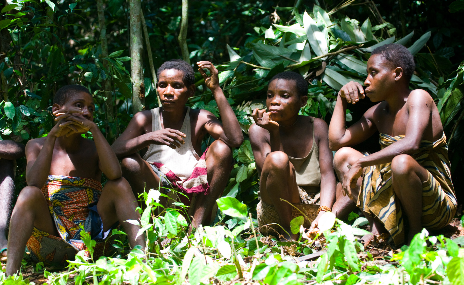 Племён пигмеев из лесов центральной Африки