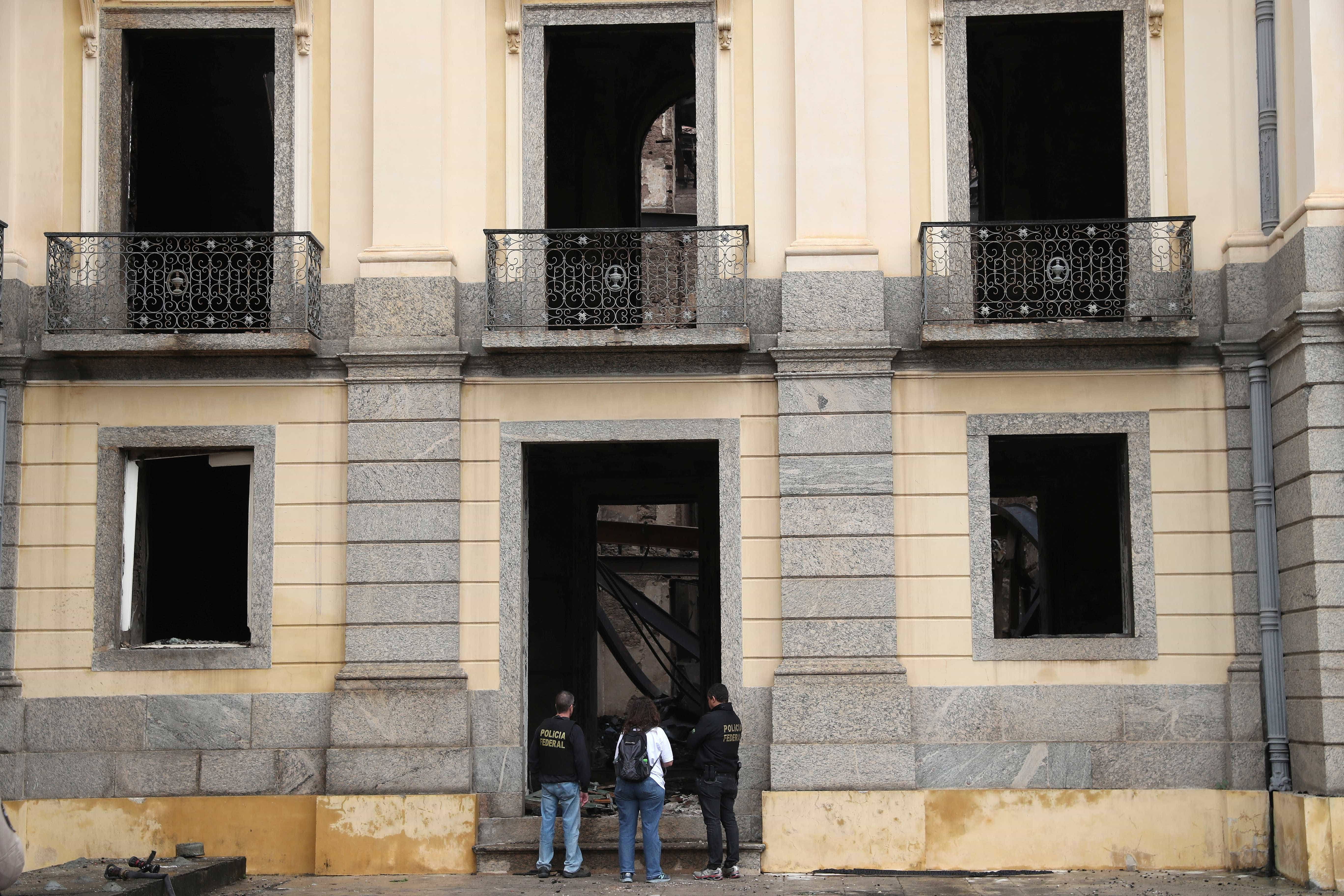 Colecionador brasiliense doa 2 mil insetos ao Museu Nacional do Rio